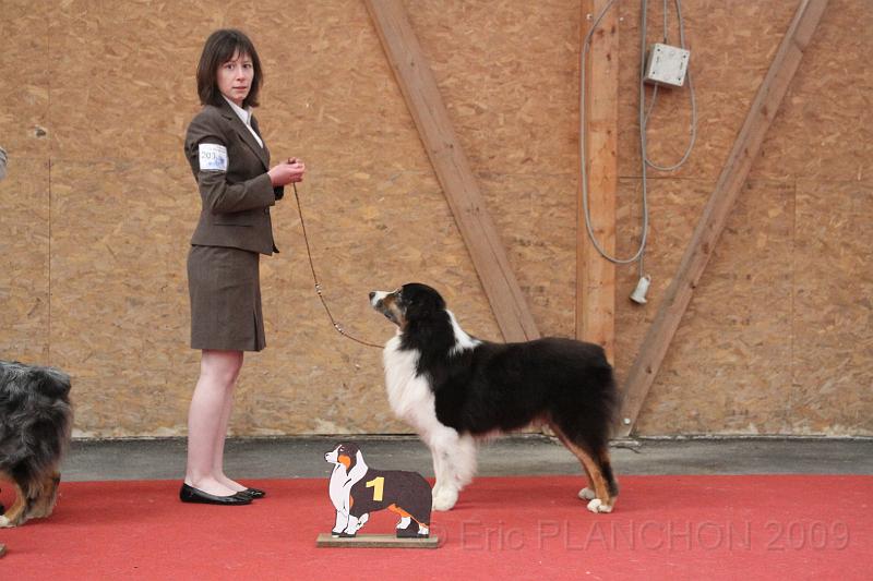 male_vet_0014.JPG