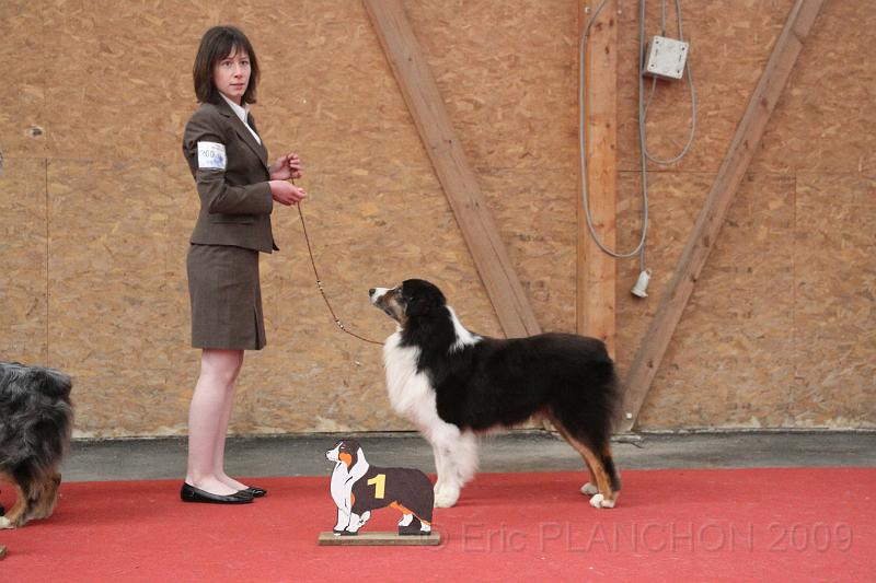 male_vet_0015.JPG