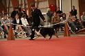 bob_0018