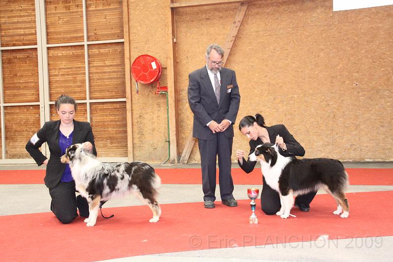 best_pup_0004.JPG