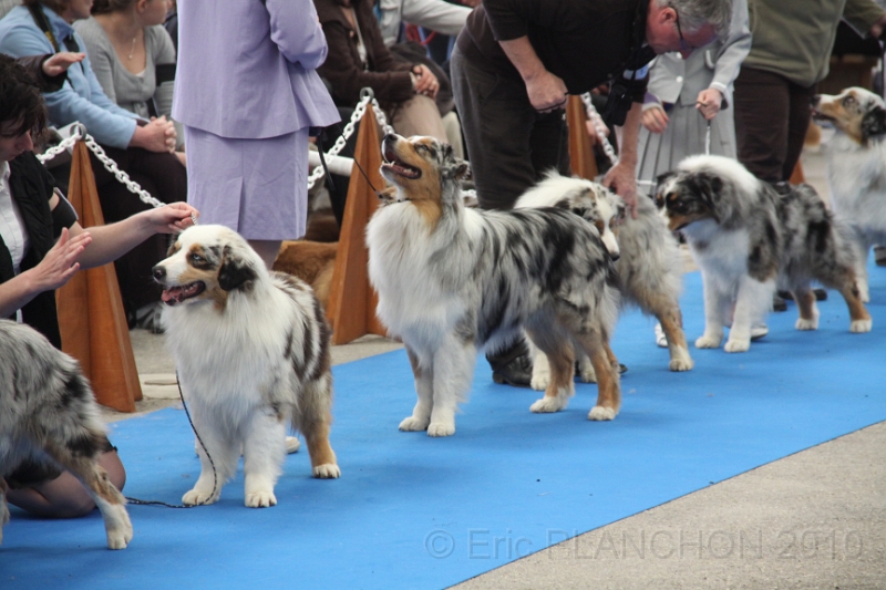 IMG_0038.JPG