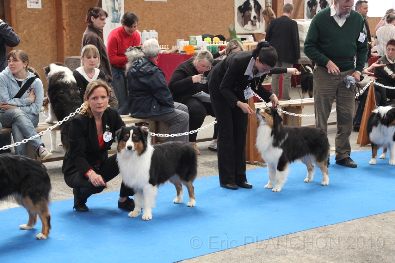 IMG_0253.JPG