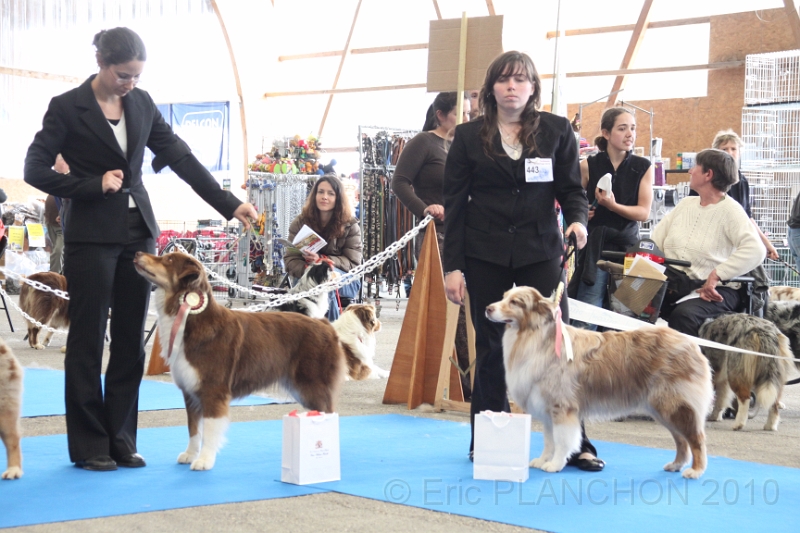 IMG_0211.JPG