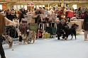 Orleans_0022