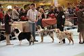 Orleans_0037