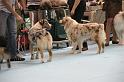 Orleans_0045