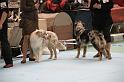 Orleans_0046