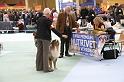Orleans_0056