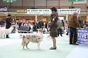 Orleans_0074