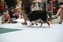 Orleans_0081