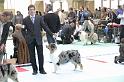Orleans_0143