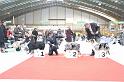 Orleans_0157