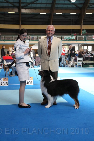 IMG_0244.JPG - Best of Breed : Aladdin's Panama Jack "Chubby"