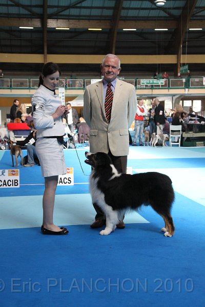 IMG_0245.JPG - Best of Breed : Aladdin's Panama Jack "Chubby"