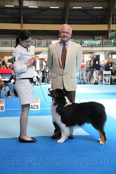 IMG_0247.JPG - Best of Breed : Aladdin's Panama Jack "Chubby"