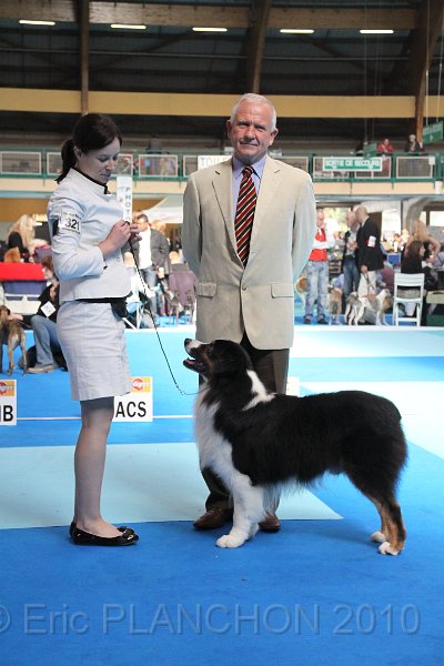 IMG_0248.JPG - Best of Breed : Aladdin's Panama Jack "Chubby"