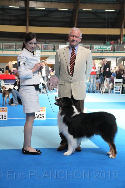 IMG_0249.JPG - Best of Breed : Aladdin's Panama Jack "Chubby"