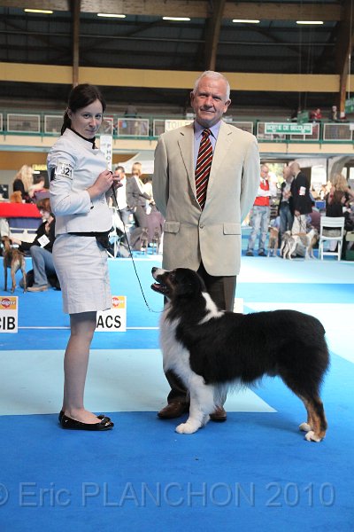 IMG_0250.JPG - Best of Breed : Aladdin's Panama Jack "Chubby"
