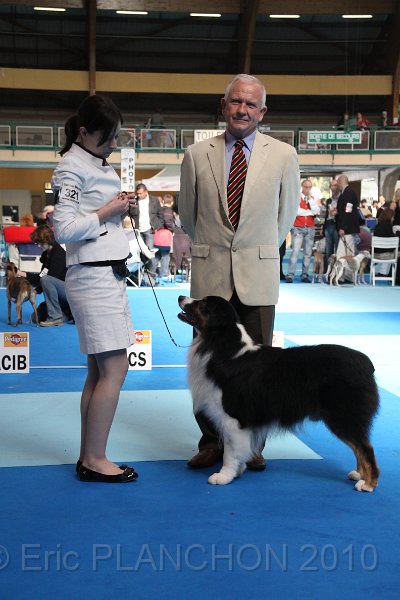 IMG_0257.JPG - Best of Breed : Aladdin's Panama Jack "Chubby"