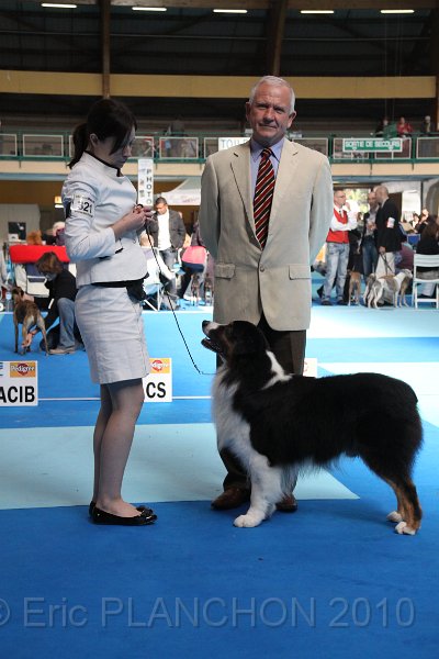 IMG_0258.JPG - Best of Breed : Aladdin's Panama Jack "Chubby"