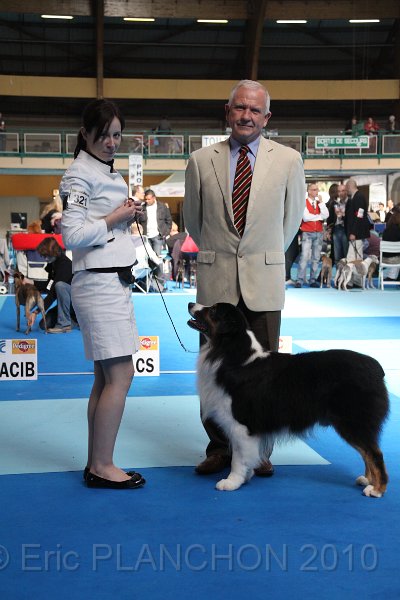 IMG_0260.JPG - Best of Breed : Aladdin's Panama Jack "Chubby"