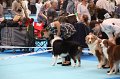 IMG_0002