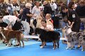 IMG_0005
