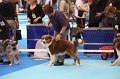 IMG_0007