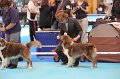 IMG_0008