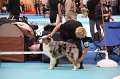 IMG_0010