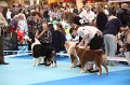 IMG_0012