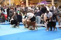 IMG_0013