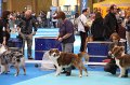 IMG_0018