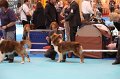 IMG_0019