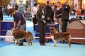 IMG_0029