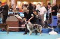 IMG_0031