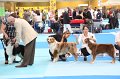 IMG_0033