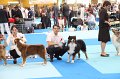 IMG_0035