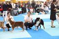 IMG_0036