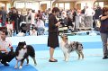 IMG_0037