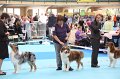 IMG_0040