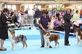 IMG_0041