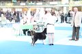 IMG_0049