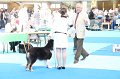 IMG_0050
