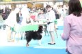 IMG_0051