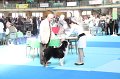 IMG_0052
