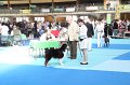 IMG_0053