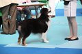 IMG_0054