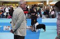 IMG_0057