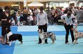 IMG_0058